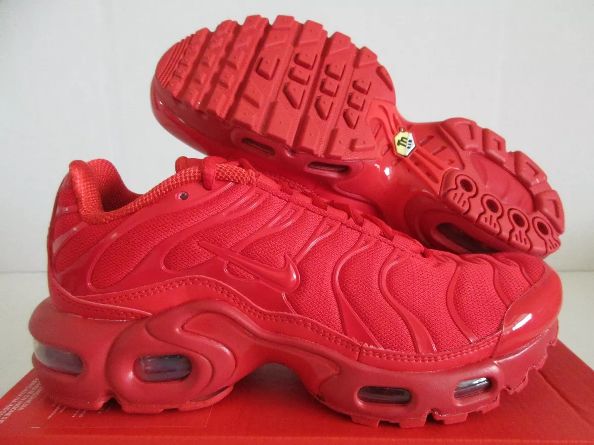 NIKE AIR MAX PLUS GS