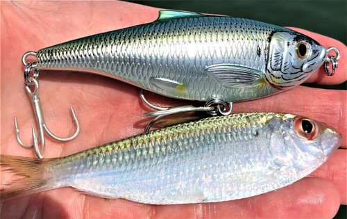 Esca Twitchard sardina in scala reale bersaglio (SST75S) scegli qualsiasi colore acqua salata - Foto 2 di 11