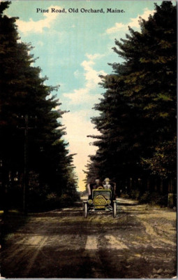 Old Orchard ME-Maine Pine Road Couple Convertible Automobile  Vintage Postcard