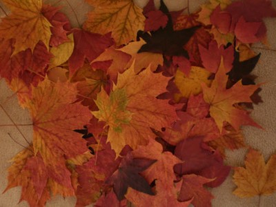 Fall Leaves Fall Wedding Decorations 1000 Real Pressed Leaves Ebay