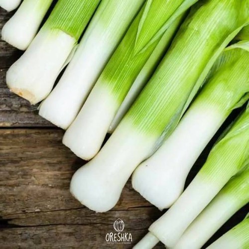 Carantan Leek 50+ PCS fresh seeds, organic herb seeds - Foto 5 di 8