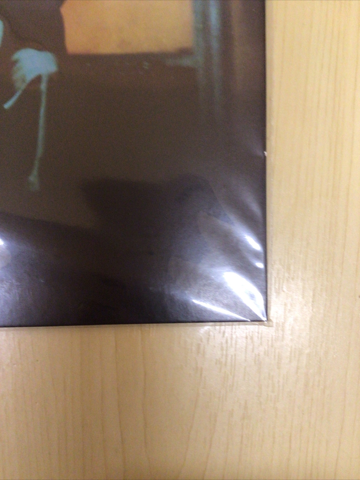 Foto 12 di 12