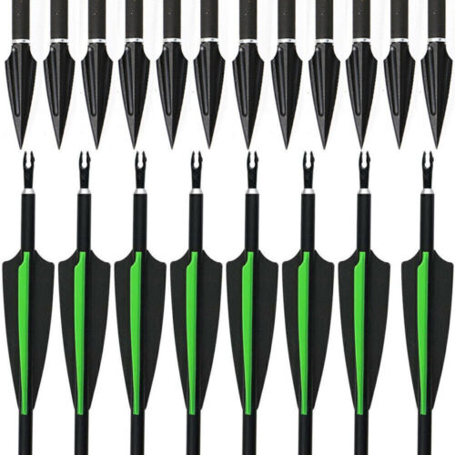 12pcs Set Carbon Arrows 30'' Hunting Tips SP500 Recurve Compound Bow Arrowhead - Picture 11 of 11
