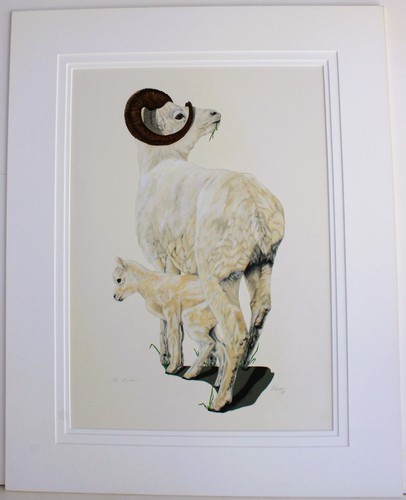 ORIGINAL GEMISCHTES ÖLGEMÄLDE KARTON SIGNIERT ANDERSON DALL SCHAFE WILDTIERE KUNST - Bild 5 von 13