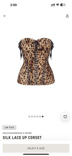 Skims X Dolce Gabbana Corset Silk Lace Up Brand New size medium