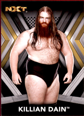 KILLIAN DAIN 2017 Topps WWE NXT Roster Insert #7 Pro Wrestling Trading Card