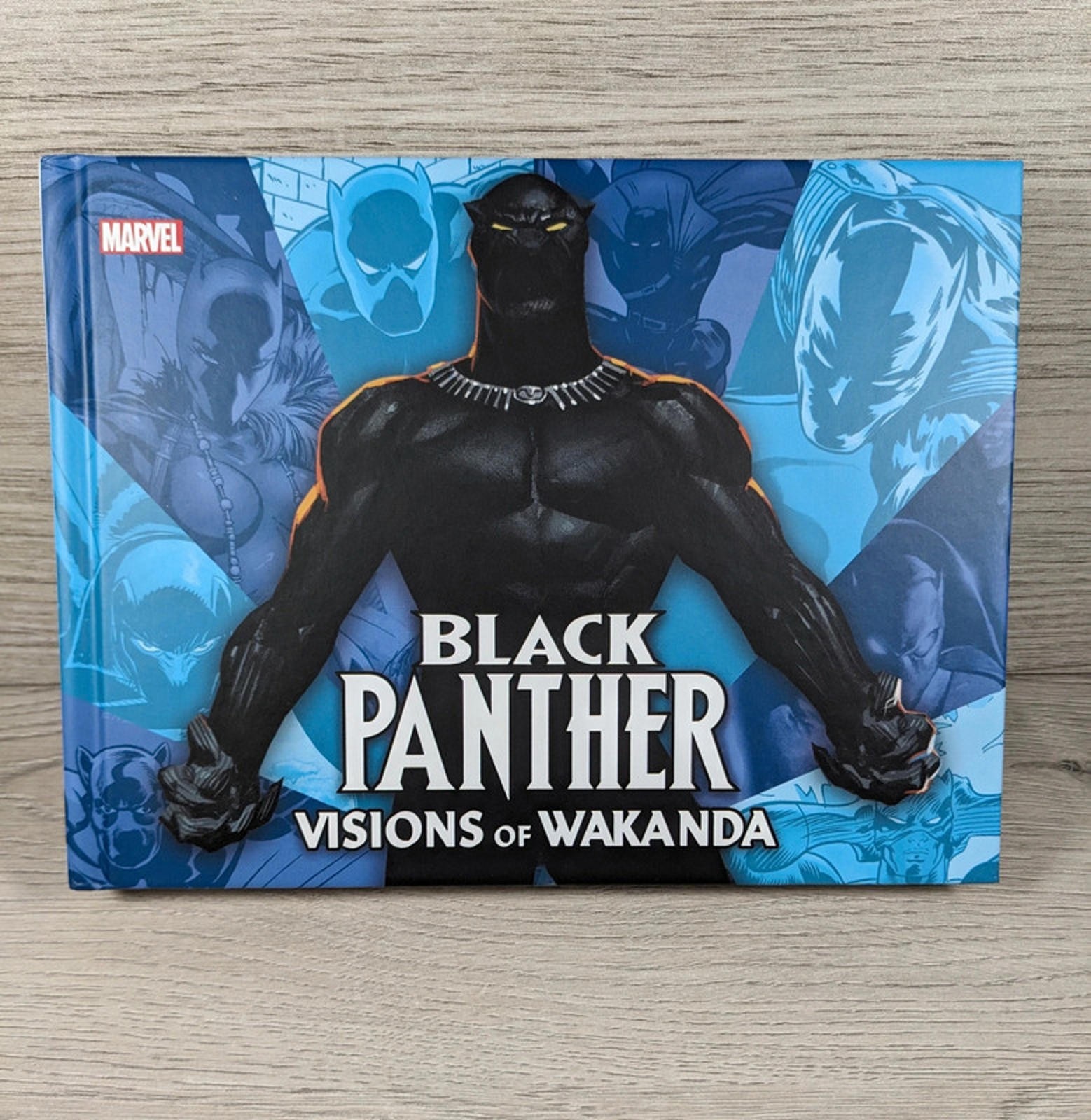 Marvel Black Panther: Visions Of Wakanda by Jess Harrold (Hardcover, 2020)
