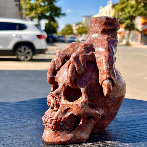 3.39LB Natural Indian Red Skull Hand Carved Skull Healing - Picture 3 of 13