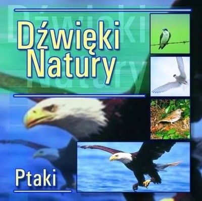 5906409100813 Dźwięki natury. Ptaki, CD MTJ Agencja Artystyczna