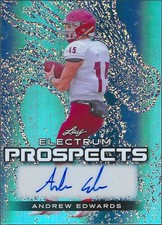 2024 Leaf Electrum Blue Silver Andrew Edwards Rc Auto (3/6)