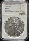 2025 P American Silver Eagle NGC MS69 ASE Eagle Privy US Graded Coin Slab