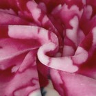 Bild 49 von 80