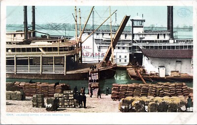 Unloading Cotton at Levee, Memphis, Tennessee - c1906 Detroit Pub. Postcard