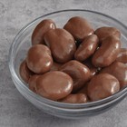 Albanese Milk Chocolate Covered Pecans 10 lb.