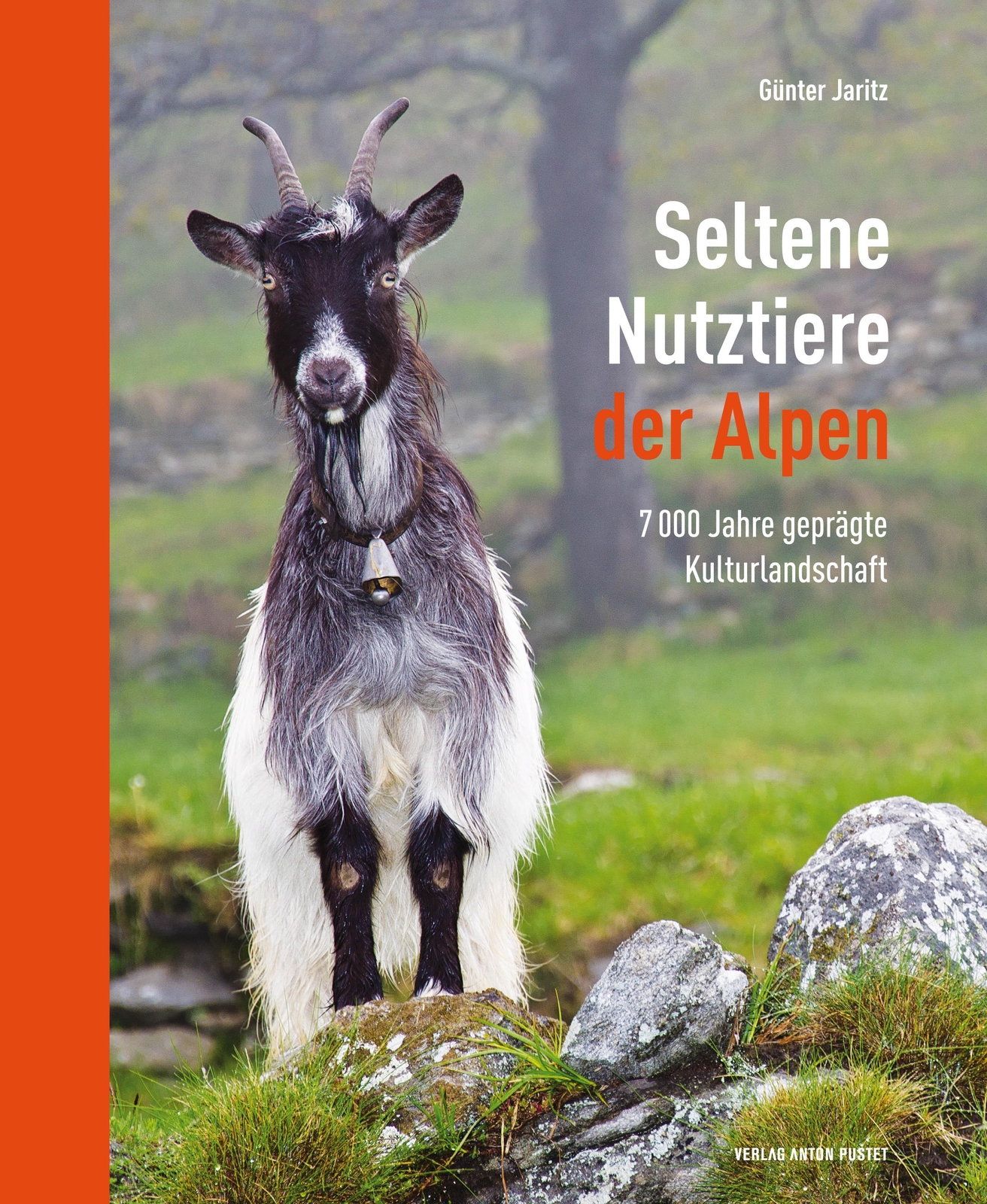 Thumbnail - Seltene Nutztiere Der Alpen 7000 Jahre Geprägte Kulturlandschaft