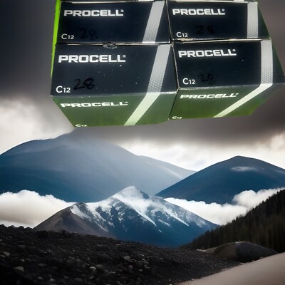 Duracell Procell C12 1.5V C Battery PC1400 Alkaline C-Cell 4 Boxes ~ 48 Batt
