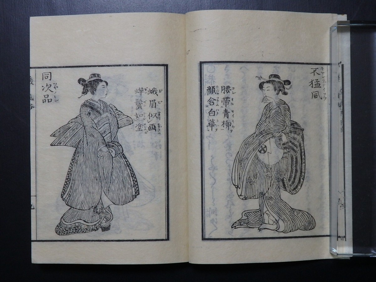 Japanese Ukiyo-e Woodblock Reprint Book 7-364 2-Volumes