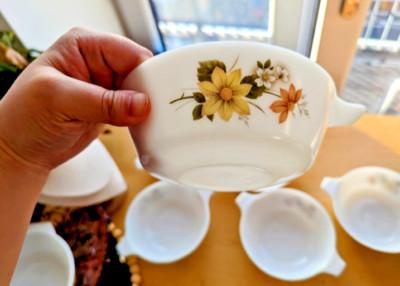 Jaj Pyrex Autumn Glory Muster Schalen - 8 Set verschiedene Größen