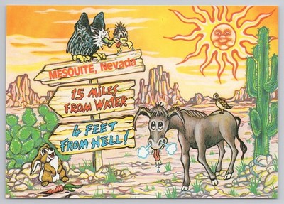 Mesquite Nevada NV Funny Desert Cartoon Comic Postcard Donkey Cactus Humor