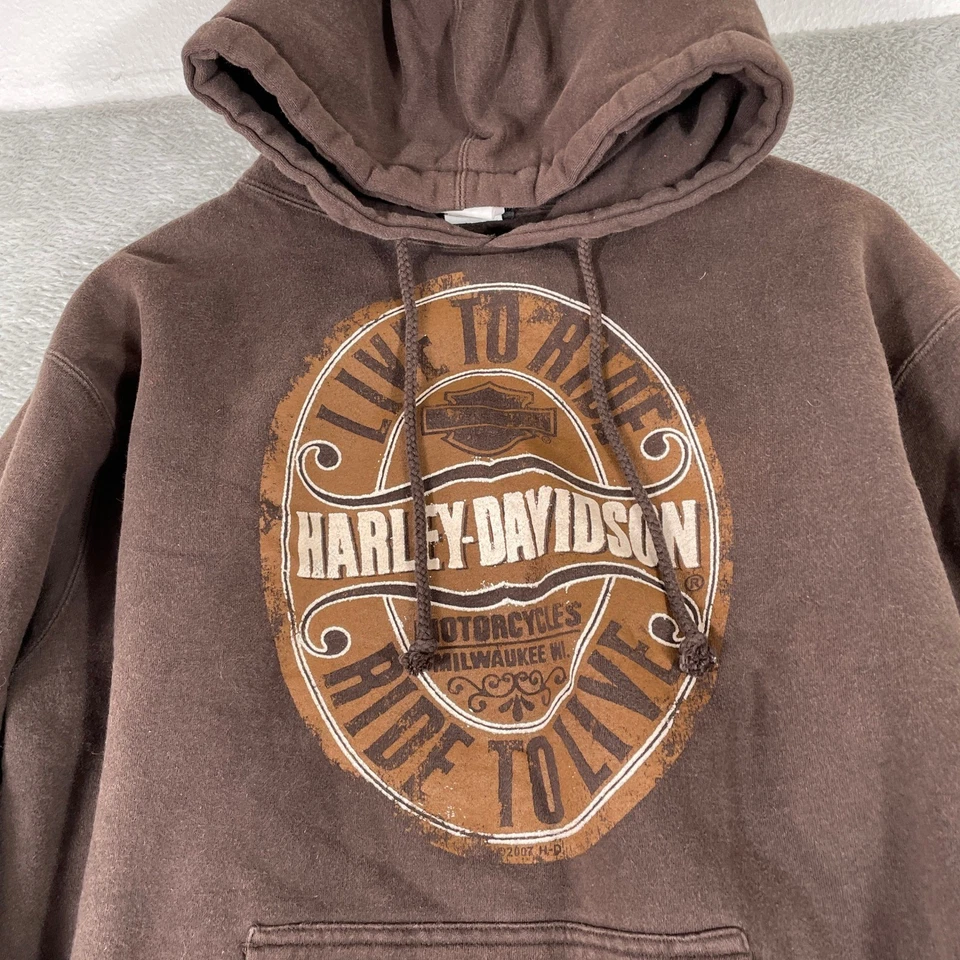 Y2K Harley Davidson Hoodie Mens Medium Brown Duluth Minnesota Surf Skater Flames - Image 4 of 4