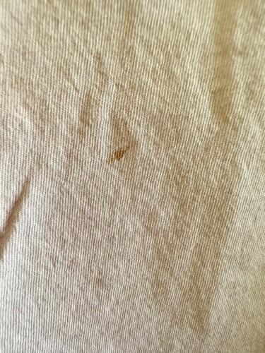 Polo Ralph Lauren Girls Cotton Shorts Embroidered Pony Logo Knit Tee M(8/10) - Picture 9 of 9
