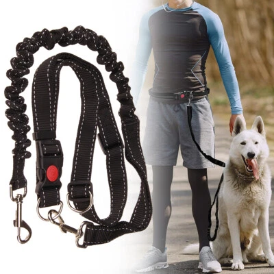 Hands Free Dog Lead - Waist Belt Bungee Dog Lead for Running Walking Jogging