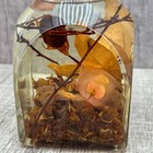 Bild 8 von 12