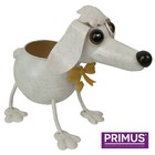 Primus Nodding Poddle Meta  Dog Planter