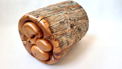 PAUL BRIMHALL - Rio Grande Woodworking - Schmuck-Schatulle Grannenkiefer