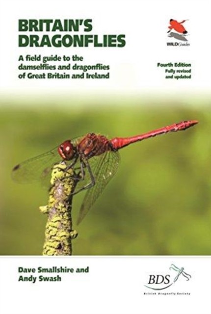 Britain's Dragonflies by Andy Swash (Paperback Book)