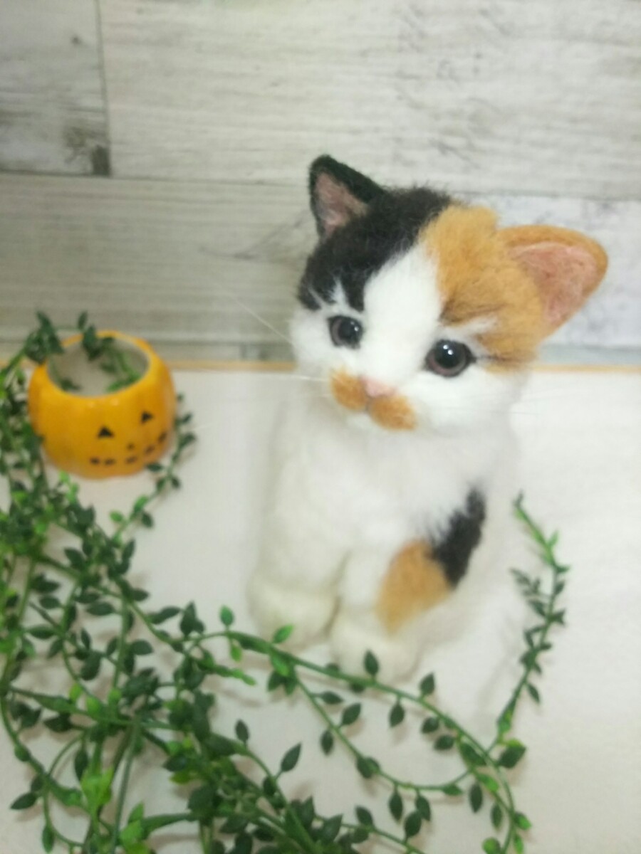 Ekomimi Wool Felt Cat Tricolor Kitten Real Hand Reminder Made Reminder Hand 029c1f Ekomimi Wool Felt Cat Tricolor Kitten Real Hand Reminder Made Reminder Hand 029c1f