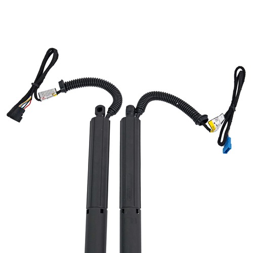 Gasfeder Powerlift Heckklappe Links + Rechts für BMW X3 F25 xDrive 51247232003 - Bild 8 von 10