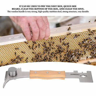 Acheter Beehive Scraper En Acier Inoxydable Ruche Scraper Outil Multifonction Beekee Qcs