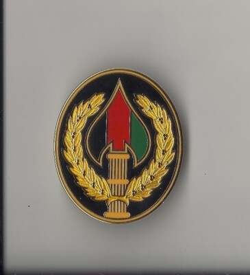 Special Operation Joint Task Force Afghanistan Badge Full size Genuine Badge