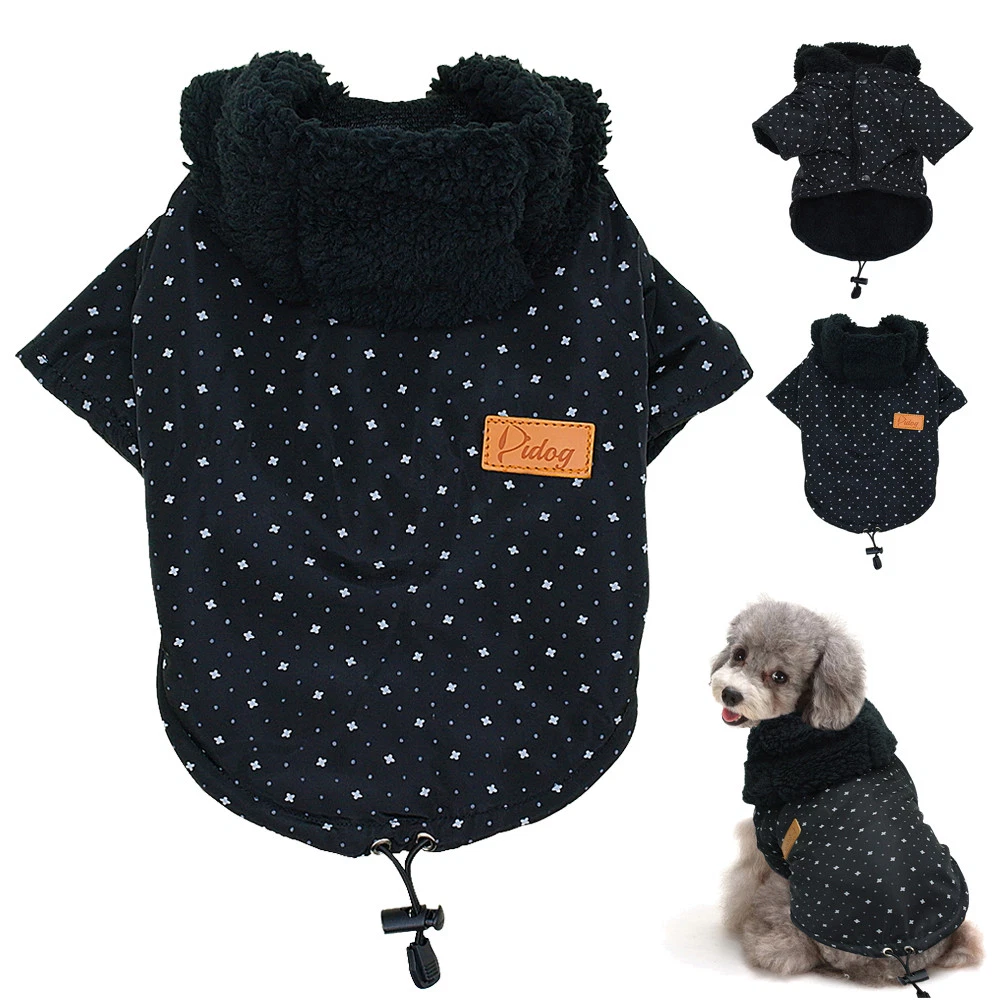 Do Poodles Need Winter Coats