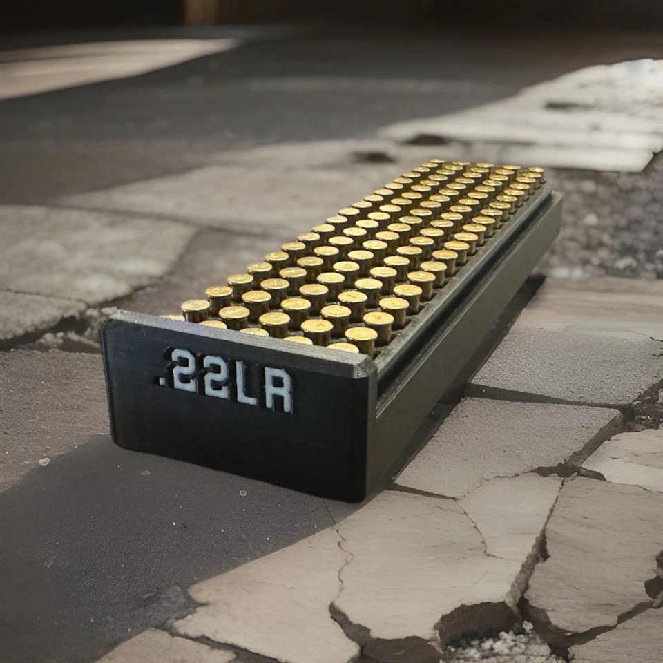 Caja de almacenamiento de munición 22LR - Múltiples capacidades y colores disponibles Foto 3 de 4