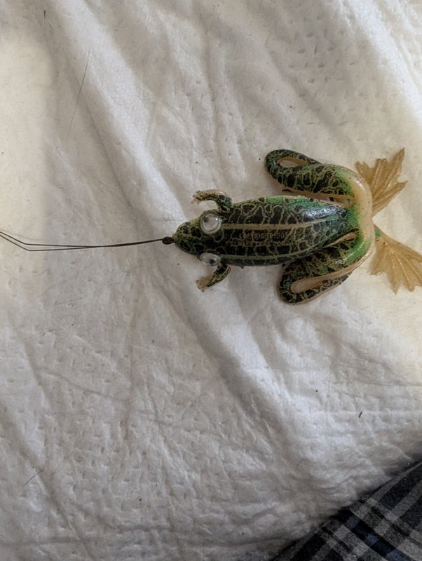 Rubber Frog Lure