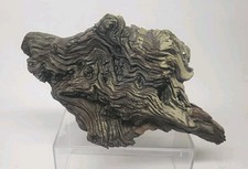 Dense Solid Hardwood Driftwood 13x9 Heavy Natural Wood Sculpture 3.5lbs