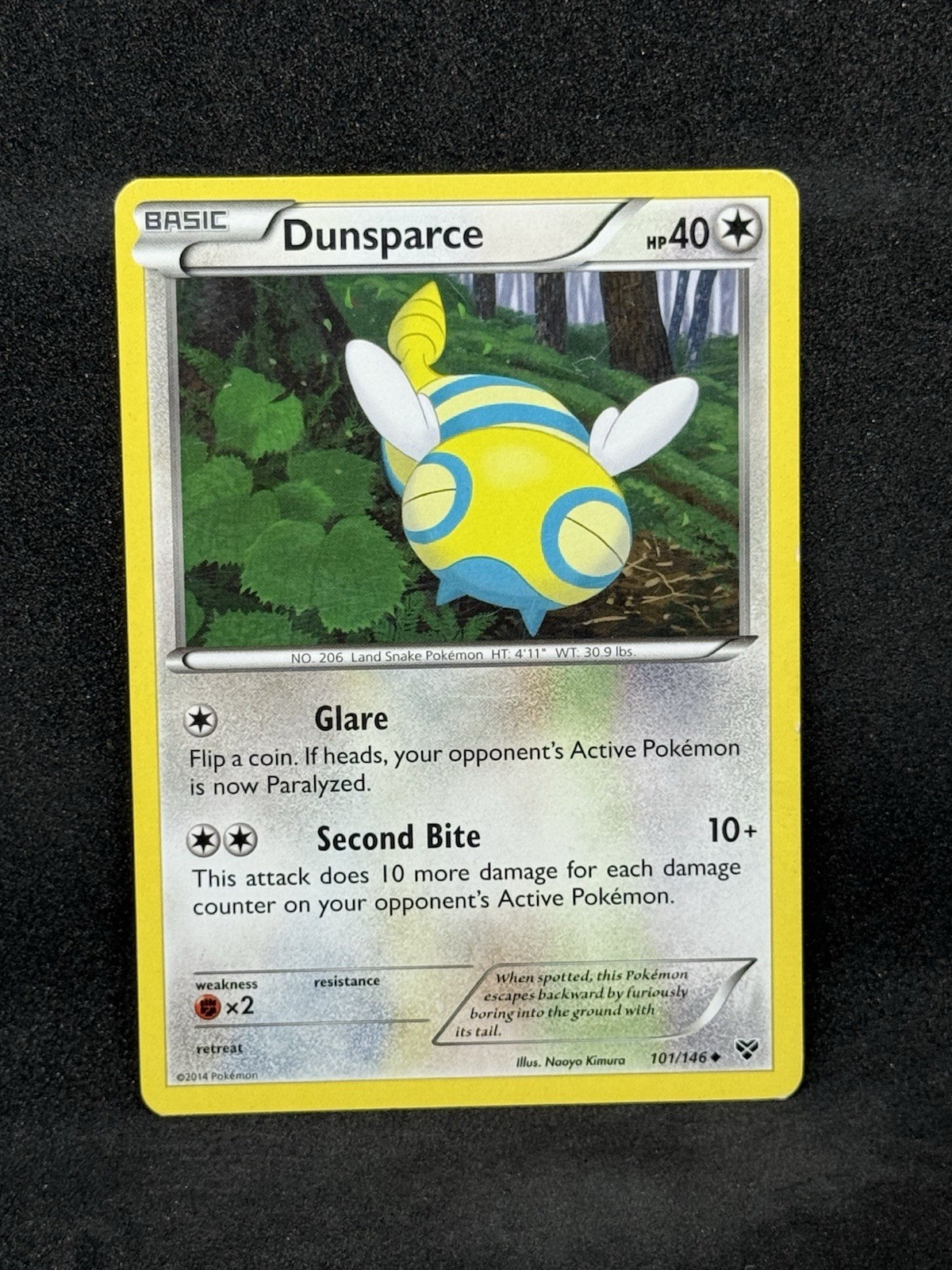 Uncommon Dunsparce Pokemon Card, XY Set 101/146 HP
