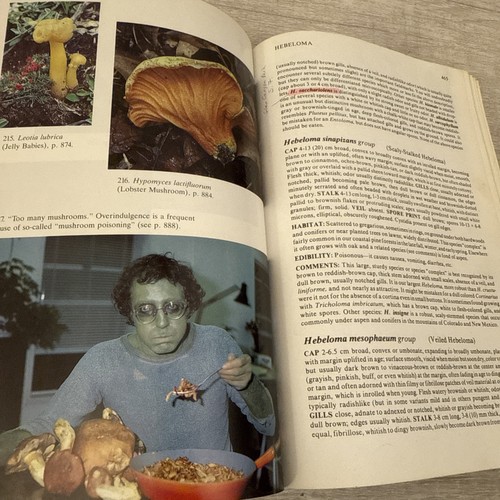 Mushrooms Demystified by David Arora (1986, Trade Paperback) - Picture 12 of 12