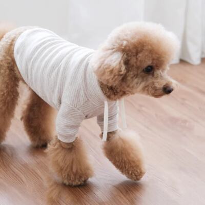Lambwolf Collective Puppy Pet Dog Breton Cotton Stretch Striped Shirt Size XXL