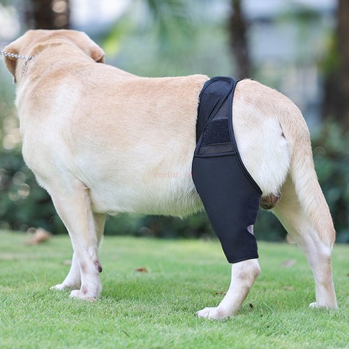 Dog Elbow Protector Pads Dog Legs Protector Dog Knee Brace Protective Sleeve❤❤ - Picture 70 of 78