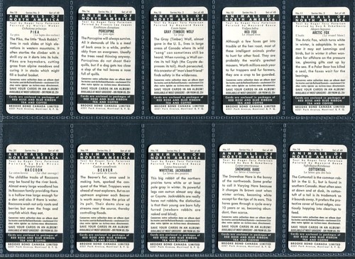 BROOKE BOND CANADA 1962 SET OF 48 "ANIMALS OF NORTH AMERICA" ROLLAND TEA CARDS - Picture 4 of 10