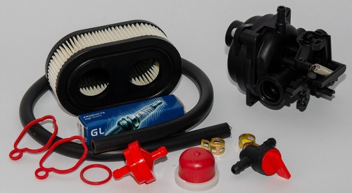 Replacement Carburetor kit Compatible with Briggs & Stratton 799584 | eBay
