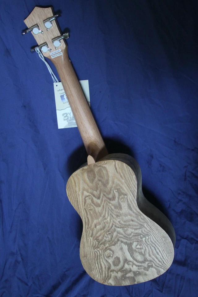 Eddy Finn Concert Ukulele, All Ash, Open Matte Finish, Beautiful, EF-ASH-N - Image 2 of 4