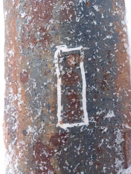 Rear Axle Assy 3.73 Ratio w/o ABS from 2005 Jeep Liberty 3.7L 4984200 Foto 3 de 4