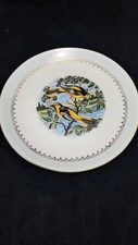 VINTAGE RETRO HOMER LAUGHLIN CHINA DECORATIVE 9 1/4" BALTIMORE ORIOLE BIRD PLATE