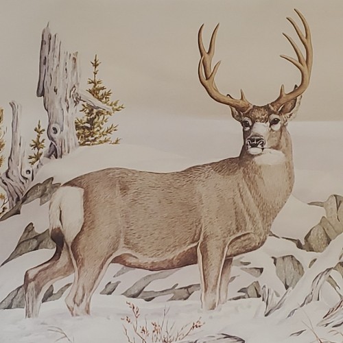 Vintage CALENDAR ART Litho Print Mule Deer Early Winter By Dale C Thompson 1988 - 第 9/17 張圖片