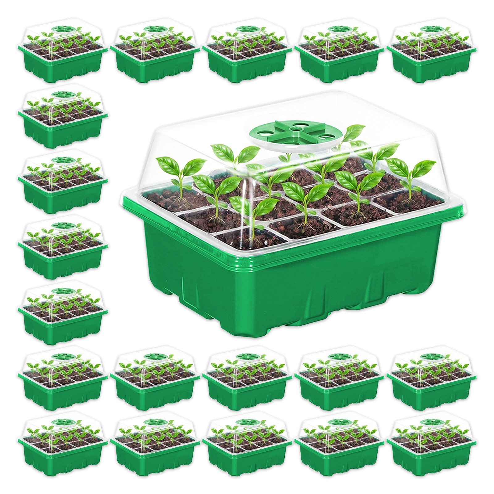 Seed Starting Propagator Tray Plant Seedling Starter Garden Grow Kit Pack of 20