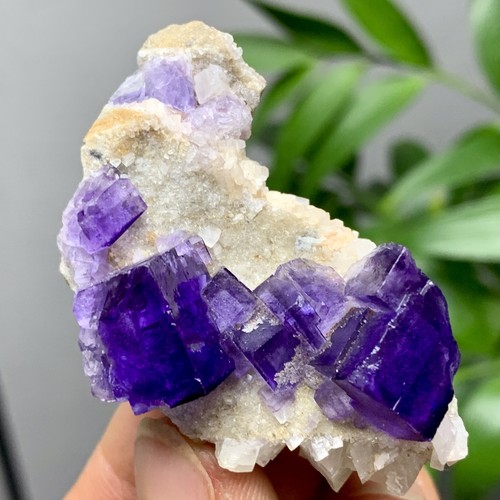 36G Natürliche Transparente Lila Kubische Fluorit Mineral Probe Innere Mongolei - Bild 3 von 21